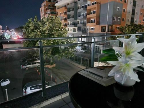 Emi Center ApartmentsStudio