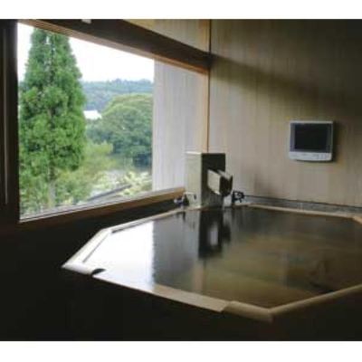 Japanese/Western-Style Room With Open-Air Bath (Ryokusui-Tei Wing) *Non-Smoking From Apr. 1, 2025 湯宿　嵯峨沢館 クーポン