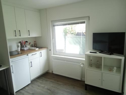 一卧室公寓带淋浴