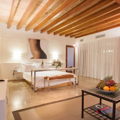 Junior Suite Petit Palace Hotel Tres Promo Code