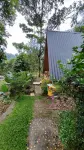 Green Forest Tangkahan Hotels in 