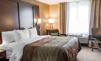 Comfort Inn & Suites Pharr/McAllen - Housity
