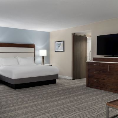 特大床一室套房 諾福克機場希爾頓逸林酒店優惠