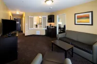 Holiday Inn Express & Suites DETROIT NORTH - TROY by IHG