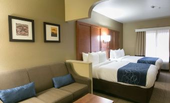 Comfort Suites Austin NW Lakeline