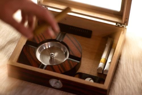 豪华公寓-总统瓦尔加斯