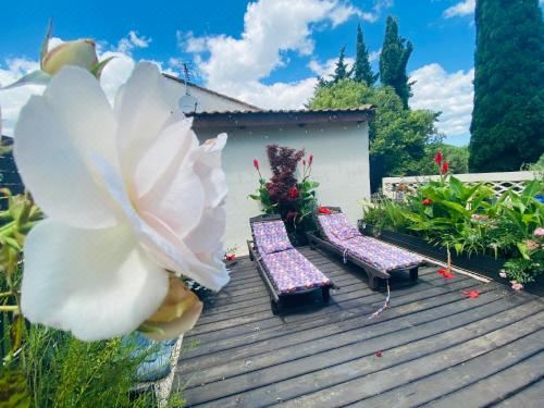 Appartement la Perle Noire Apartment with Terrace