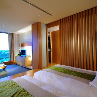 洋式蘭陽平原景觀雙床套房