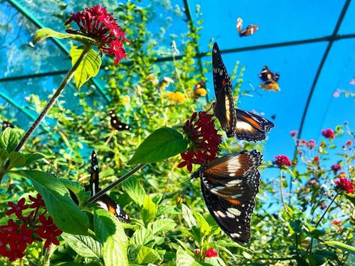 水景三卧室公寓