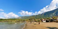 Otel Arın