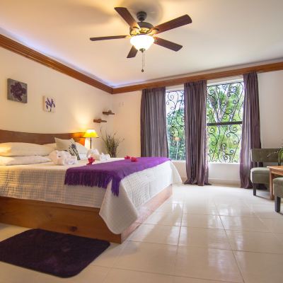 Standard Suite, 2 Queen Beds Bocawina Rainforest Resort Promo Code
