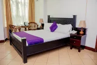 New Hotel Aquiline Hotels in 