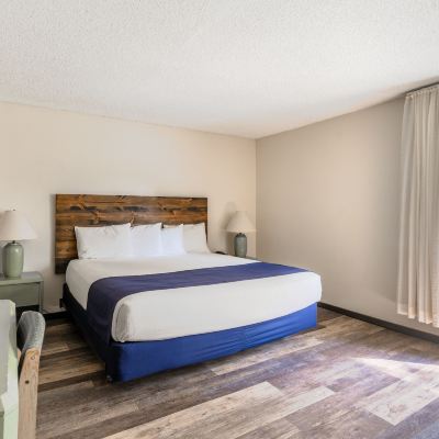 Standard Room, 1 King Bed, Dogs Allowed, Ground Floor Chateau Westport Promo Code