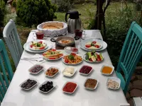 Ada KEKİĞİ PANSİYON