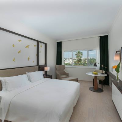 特大床房 尼克西亞希爾頓酒店優惠