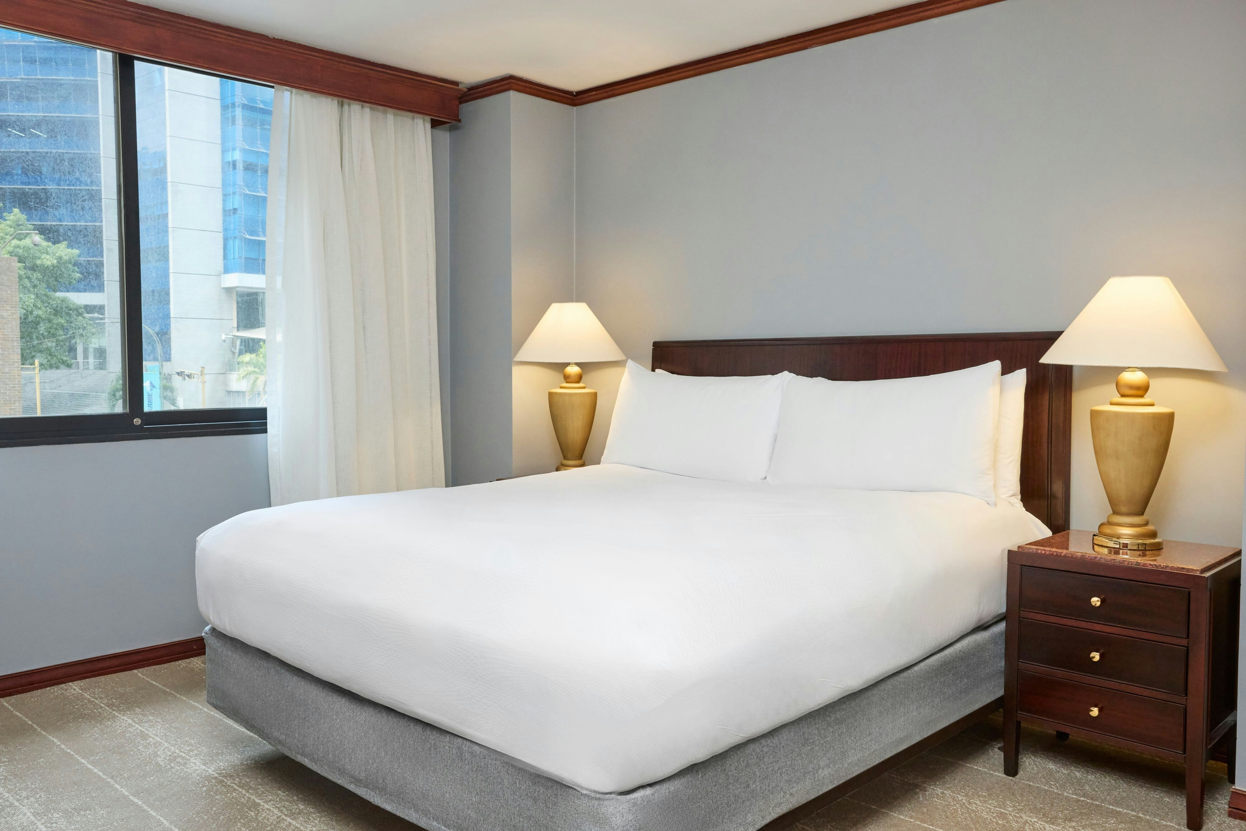 One Bedroom Executive Suite With City View