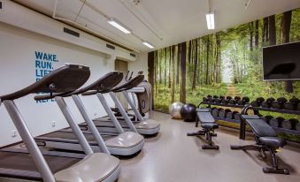 a well - equipped gym with various exercise equipment , including treadmills and weights , in a room with a view of trees at Radisson Blu Hotel and Conference Cente, Oslo Alna