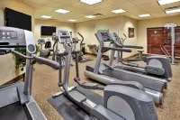 Holiday Inn & Suites ANN ARBOR UNIV. MICHIGAN AREA by IHG