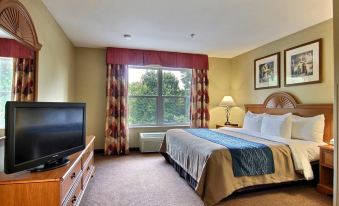 Comfort Inn & Suites Saint Augustine