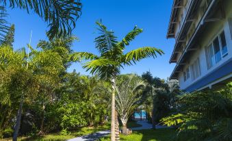 a lush tropical garden with tall palm trees , green grass , and a walkway leading to a building at Hotel Beaurivage