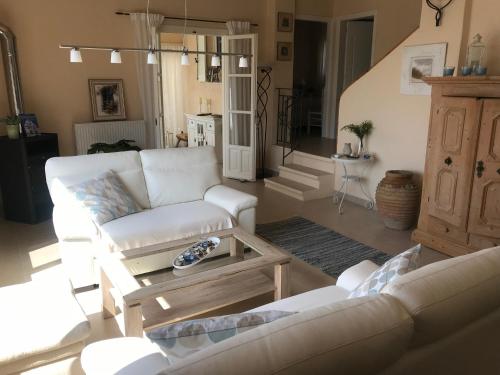 别墅（带独立泳池）