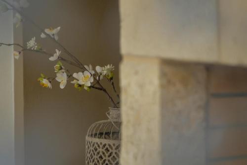 带私人泳池的别墅-Thesoa