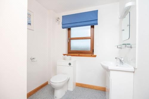 Innes Street Apartments One-Bedroom Apartment