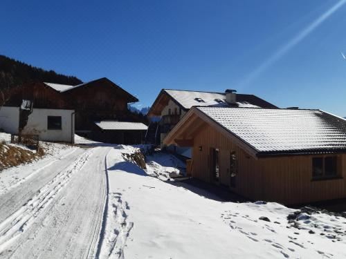 高级两卧室公寓