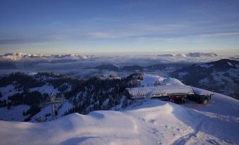 Gasthof Pension Alpenblick