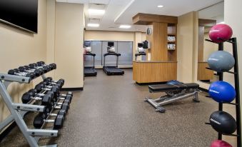 a well - equipped gym with various exercise equipment , including treadmills , weight machines , and other fitness options at TownePlace Suites Detroit Belleville