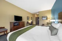 Best Western Plus Patterson Park Inn Hotels in 