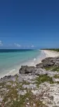 NEW Stunning Beachfront Condo at the Coral Beach