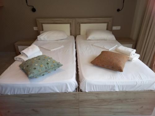 园景标准双床房