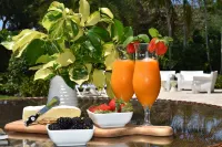 Luxe Boca Retreat – Private Home w/ Resort Pool, Perfect Location!