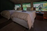 Nkwe Safari Lodge Hotele w: 