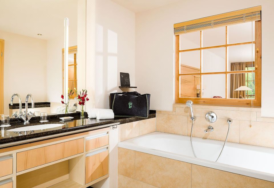 Comfort Studio Suite (Juniorsuite K?nigskerze)