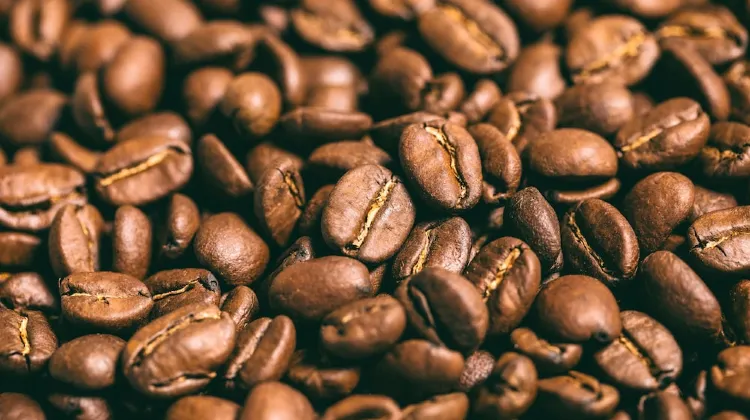 おがわ旅館 RYOKAN OGAWA 食事・レストラン