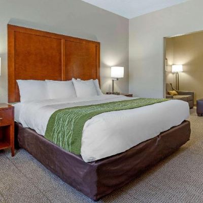 King Suite Comfort Inn & Suites Lenoir Hwy 321 Northern Foothills Promo Code