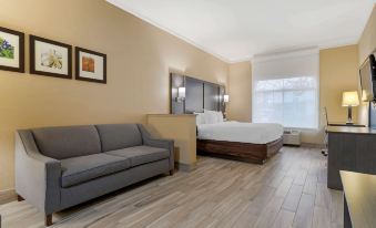 Comfort Suites Kingwood Houston North - Housity