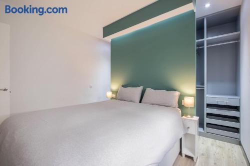 高级两卧室公寓