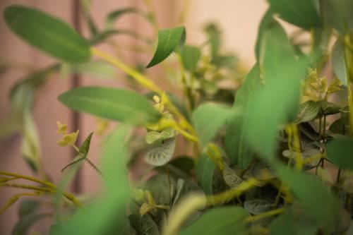 带阳台的三卧室公寓