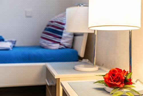 高级两卧室公寓