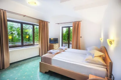 Hotel Casa Viorel Отели в г. 