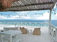 Coco Unlimited