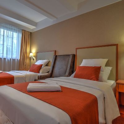 Business Twin Room, 2 Twin Beds 安娜酒店優惠