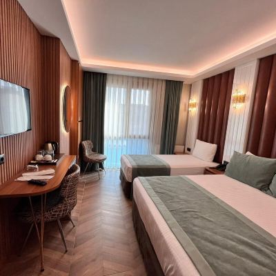 Deluxe Double Or Twin Room Gumus Palace Hotel Promo Code