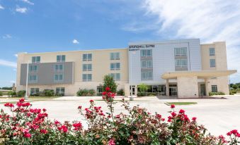 SpringHill Suites Austin Cedar Park