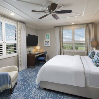 Deluxe King Room with Resort View