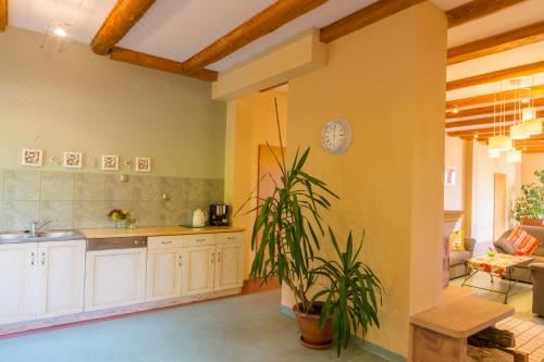 豪华两卧室公寓