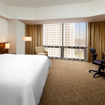 Accessible Room, Guest room, 1 Queen(s), City view